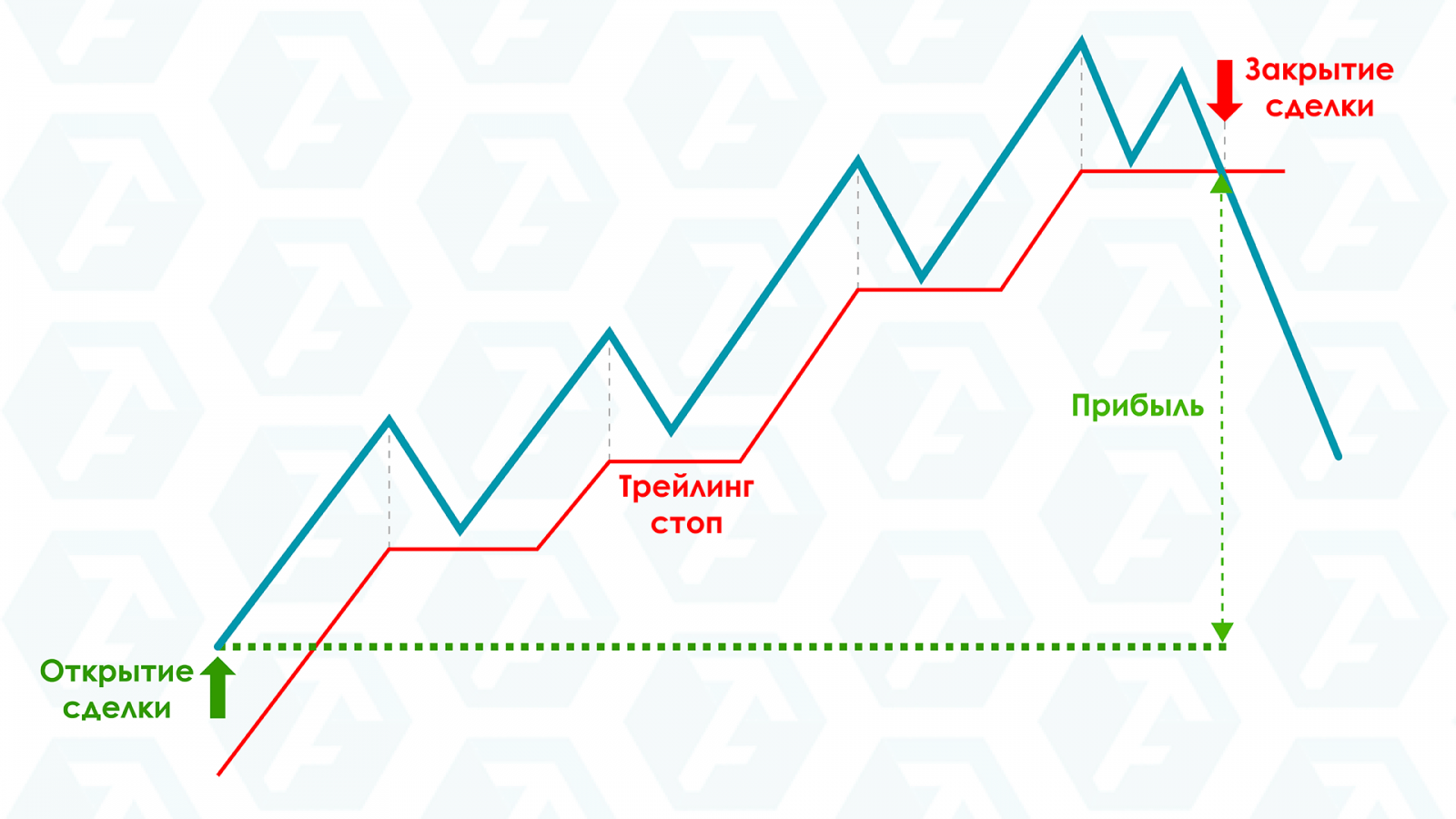 торговые ордера