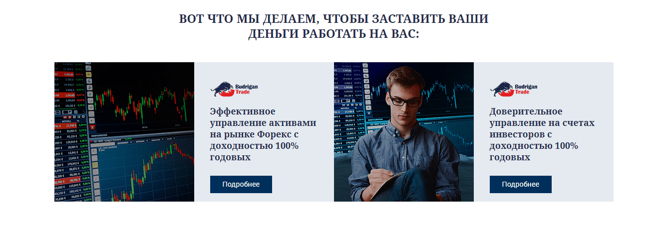 Специализация сервиса Budrigan Trade
