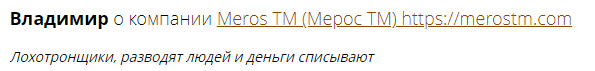 Отзыв клиента Meros TM