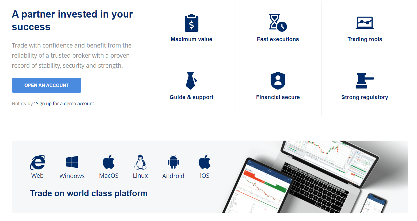 Какие услуги предлагает RiseGlobal?