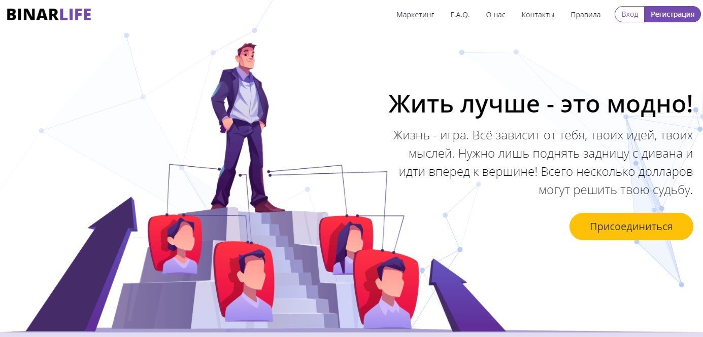 Компания Binar Life