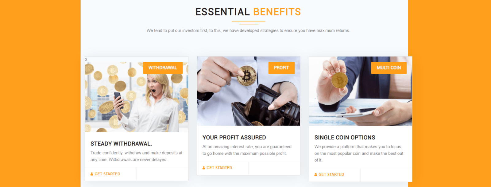 Что нужно знать о WANFORD?